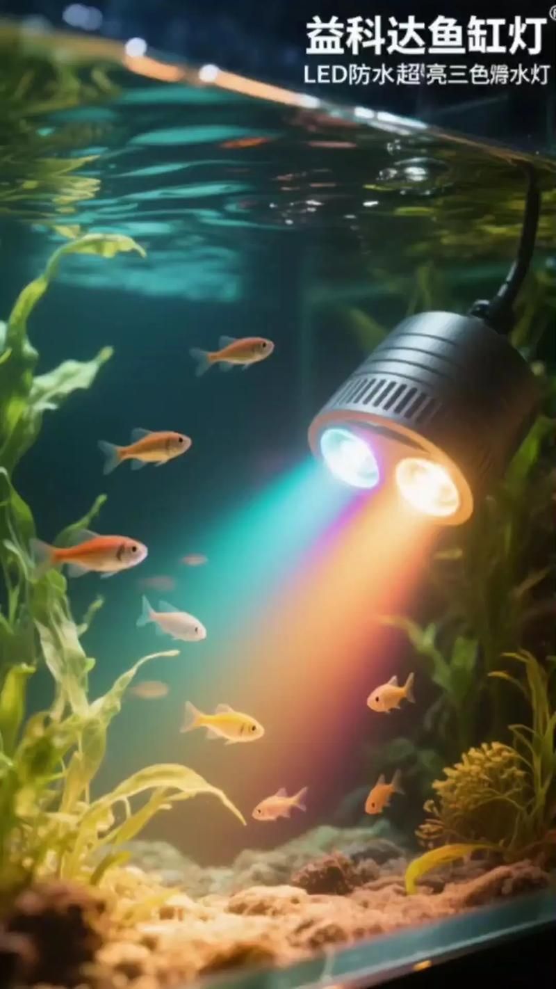 有哪些類型的魚缸燈光可供選擇？，常見的魚缸燈光類型