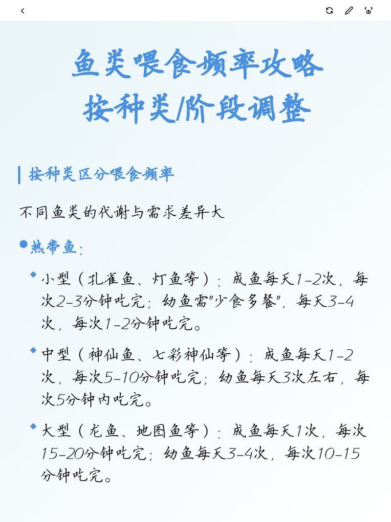 不同品種的龍魚多久喂一次，魚趣暹羅斗魚,雷龍魚喂養全攻略 不同品種的龍魚多久喂一次，魚趣暹羅斗魚,雷龍魚喂養全攻略 龍魚百科 第1張