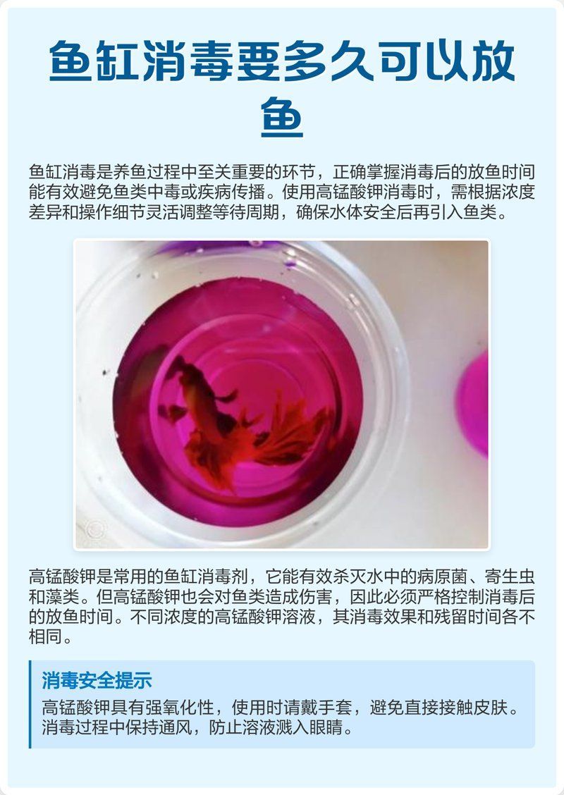 魚缸消毒后多久可以放魚，魚缸消毒后多久可以放新魚
