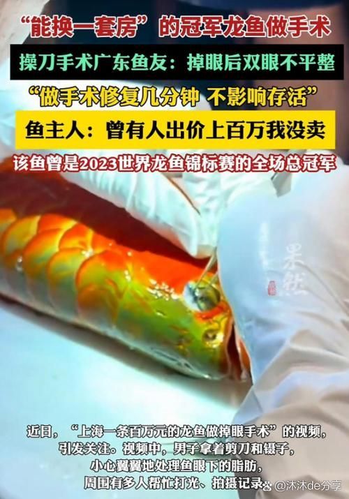 世界拍賣會上還有哪些高價龍魚？，世界拍賣會上最貴的龍魚，100萬美元一條，你知道嗎？