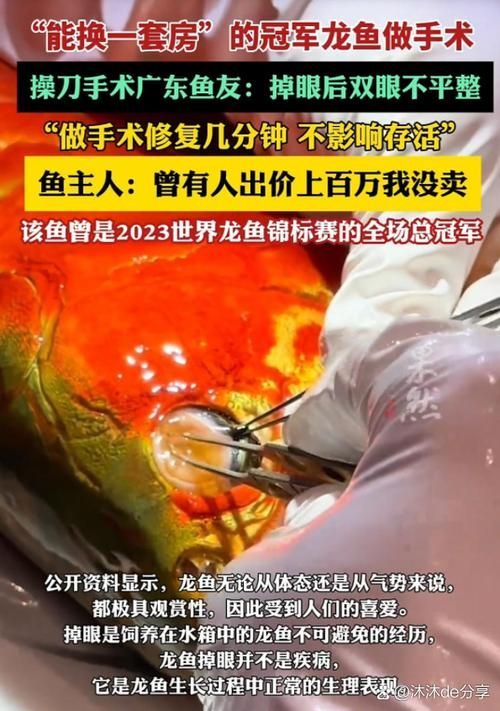 世界拍賣會上還有哪些高價龍魚？，世界拍賣會上最貴的龍魚，100萬美元一條，你知道嗎？