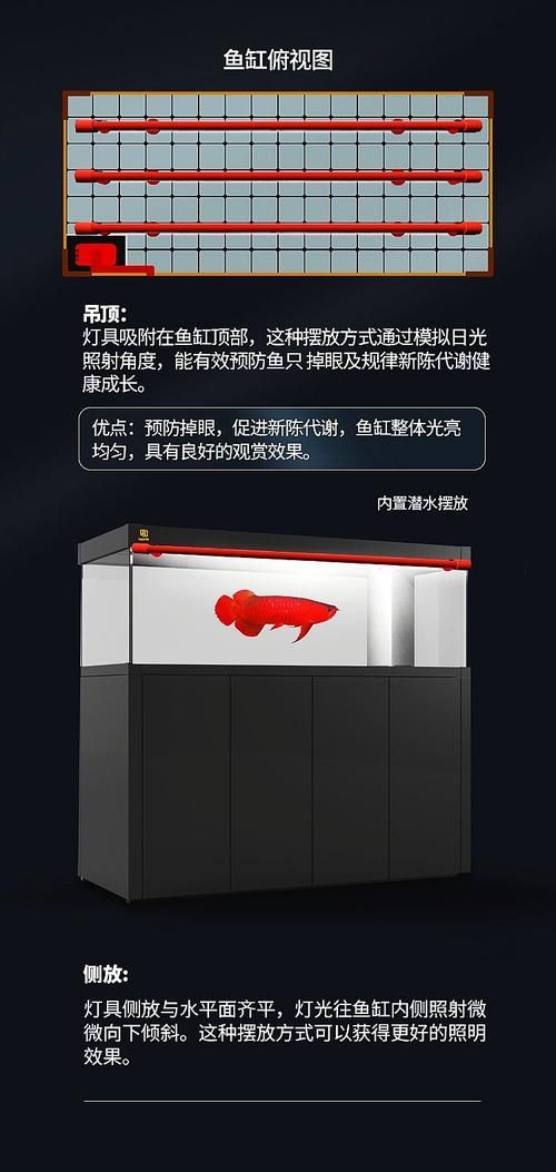 三基色龍魚燈有哪些型號推薦？，三基色龍魚燈哪個品牌好 三基色龍魚燈有哪些型號推薦？，三基色龍魚燈哪個品牌好 龍魚百科 第6張