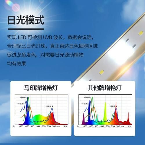 三基色龍魚燈有哪些型號推薦？，三基色龍魚燈哪個品牌好 三基色龍魚燈有哪些型號推薦？，三基色龍魚燈哪個品牌好 龍魚百科 第4張