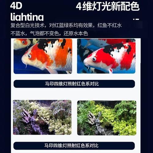 三基色龍魚燈有哪些型號推薦？，三基色龍魚燈哪個品牌好 三基色龍魚燈有哪些型號推薦？，三基色龍魚燈哪個品牌好 龍魚百科 第5張
