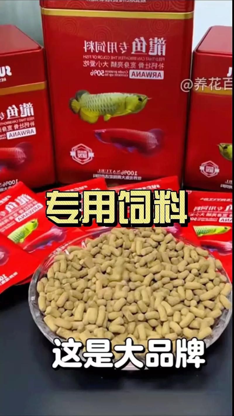 龍魚的最佳餌料是什么？，人工飼料推薦：龍魚的最佳餌料并非單一食物，而是人工飼料推薦
