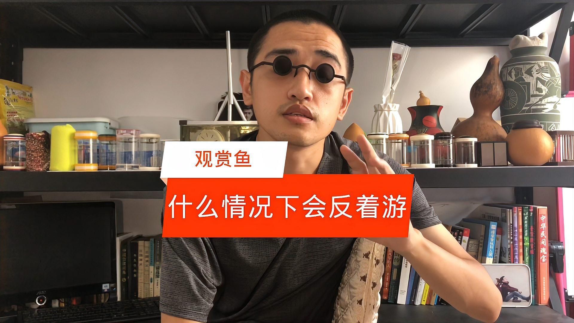 如何預防金龍魚翻身，金龍魚翻身后如何判斷金龍魚是否健康，如何判斷金龍魚是否健康 如何預防金龍魚翻身，金龍魚翻身后如何判斷金龍魚是否健康，如何判斷金龍魚是否健康 龍魚百科 第1張