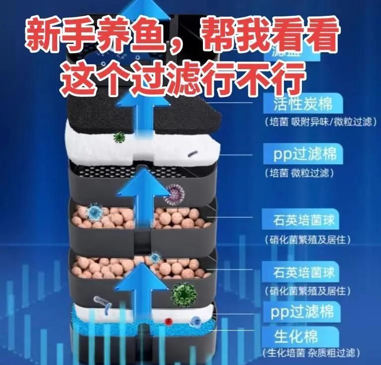魚缸濾材多久更換一次？，如何判斷魚缸濾材是否需要更換？