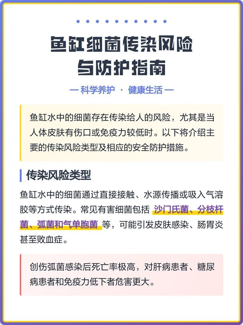 哪些魚缸細菌對人類最危險，魚缸中的細菌可能引發嚴重的健康問題，一個動作就能救命