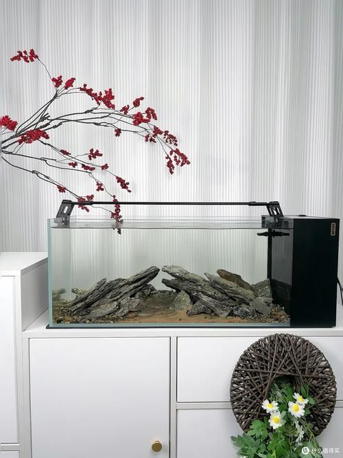如何選擇適合的魚缸品牌？，2025年魚缸選購指南:2025魚缸十大品牌盤點