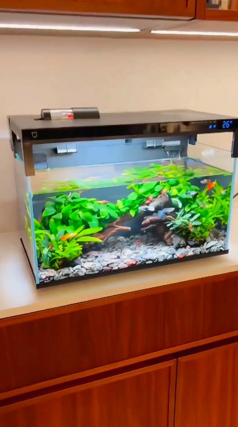 如何選擇適合的魚缸品牌？，2025年魚缸選購指南:2025魚缸十大品牌盤點
