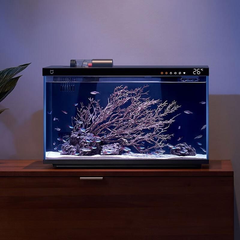 如何選擇適合的魚缸品牌？，2025年魚缸選購指南:2025魚缸十大品牌盤點
