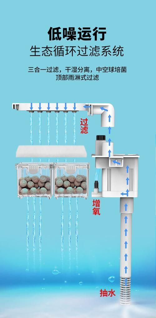 如何預防魚爛尾爛鰭，如何科學預防觀賞魚爛尾爛鰭