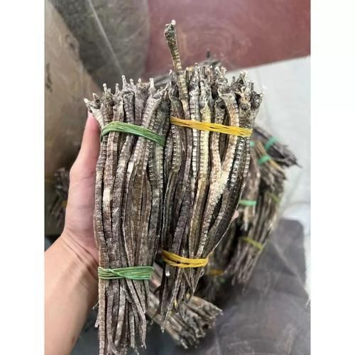 海龍干藥材有哪些品質鑒別方法，如何判斷海龍干的品牌好壞？