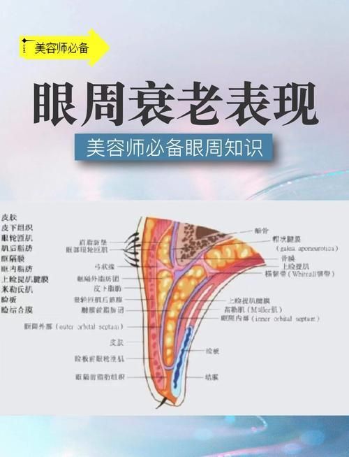 蒙眼和凸眼哪個更嚴重