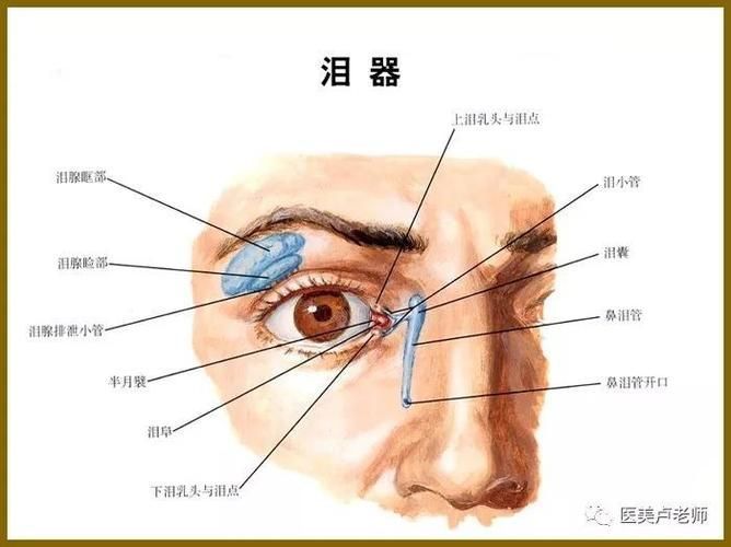 蒙眼和凸眼哪個更嚴重