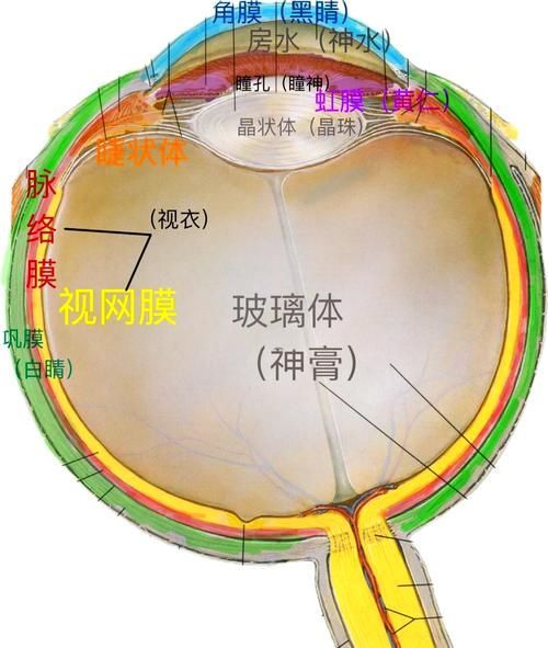蒙眼和凸眼哪個更嚴重