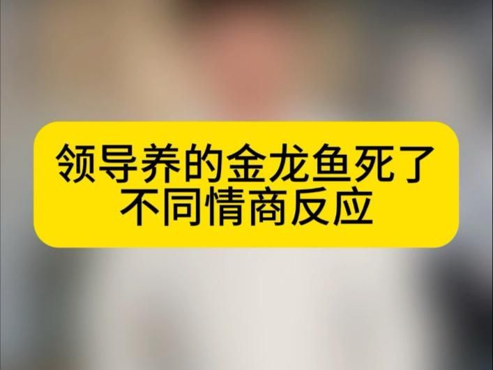 龍魚死亡是否會影響家庭運勢，龍魚死亡會影響家庭運勢嗎？ 龍魚死亡是否會影響家庭運勢，龍魚死亡會影響家庭運勢嗎？ 龍魚百科