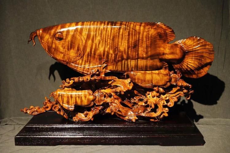 龍魚鎮宅最的圖片，魚鎮宅最的圖片 龍魚鎮宅最的圖片，魚鎮宅最的圖片\