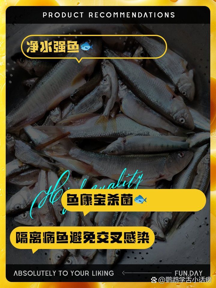 哪種藥物治療魚爛尾最有效，哪種藥物對魚爛尾最有效