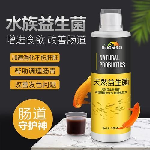 益生菌對龍魚有哪些具體作用？，益生菌對龍魚有什么作用？