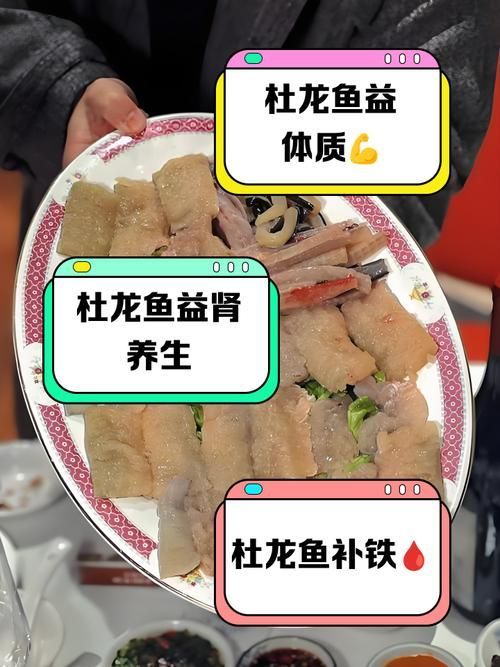 益生菌對龍魚有哪些具體作用？，益生菌對龍魚有什么作用？