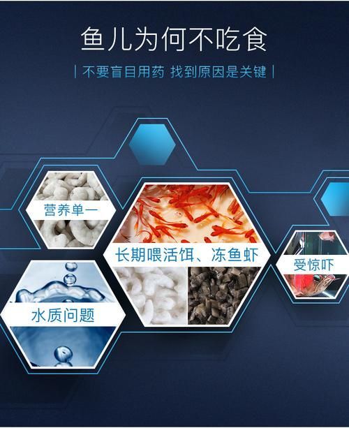 益生菌對龍魚有哪些具體作用？，益生菌對龍魚有什么作用？