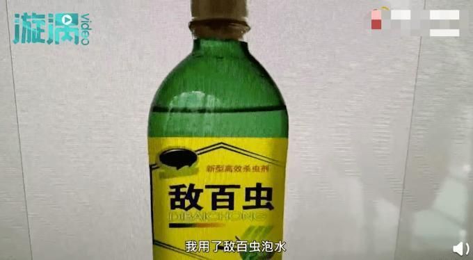 哪種魚缸殺蟲藥效果最好，如何選擇合適的魚缸殺蟲藥 哪種魚缸殺蟲藥效果最好，如何選擇合適的魚缸殺蟲藥 龍魚百科 第20張