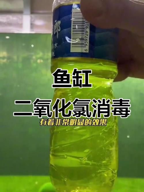哪種魚缸殺蟲藥效果最好，如何選擇合適的魚缸殺蟲藥 哪種魚缸殺蟲藥效果最好，如何選擇合適的魚缸殺蟲藥 龍魚百科 第8張
