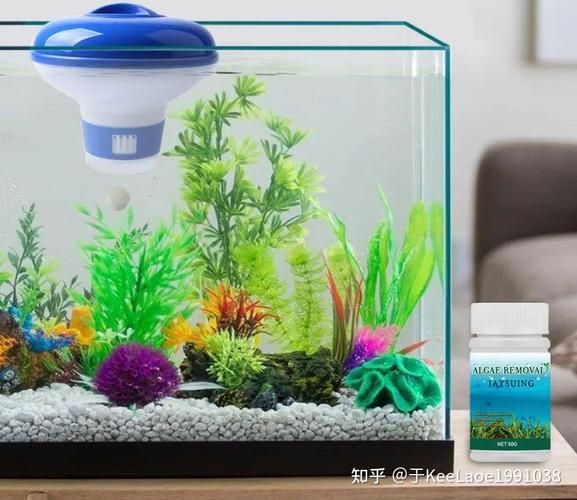 哪種魚缸殺蟲藥效果最好，如何選擇合適的魚缸殺蟲藥 哪種魚缸殺蟲藥效果最好，如何選擇合適的魚缸殺蟲藥 龍魚百科 第9張