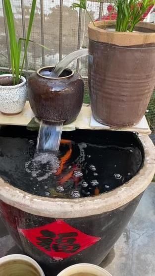 哪種魚缸殺蟲藥效果最好，如何選擇合適的魚缸殺蟲藥 哪種魚缸殺蟲藥效果最好，如何選擇合適的魚缸殺蟲藥 龍魚百科 第7張