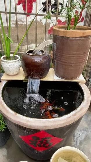 哪種魚缸殺蟲藥效果最好，如何選擇合適的魚缸殺蟲藥 哪種魚缸殺蟲藥效果最好，如何選擇合適的魚缸殺蟲藥 龍魚百科 第10張