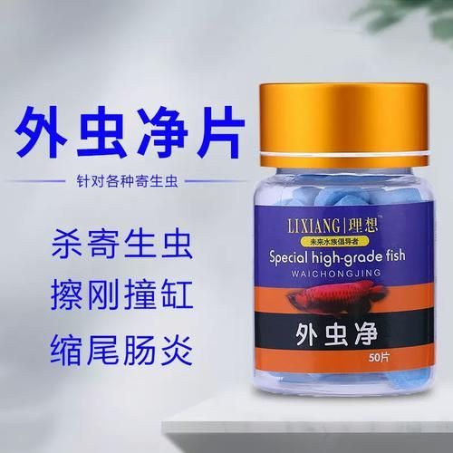 哪種魚缸殺蟲藥效果最好，如何選擇合適的魚缸殺蟲藥 哪種魚缸殺蟲藥效果最好，如何選擇合適的魚缸殺蟲藥 龍魚百科 第18張