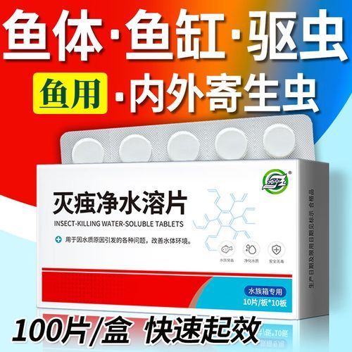 哪種魚缸殺蟲藥效果最好，如何選擇合適的魚缸殺蟲藥 哪種魚缸殺蟲藥效果最好，如何選擇合適的魚缸殺蟲藥 龍魚百科 第16張