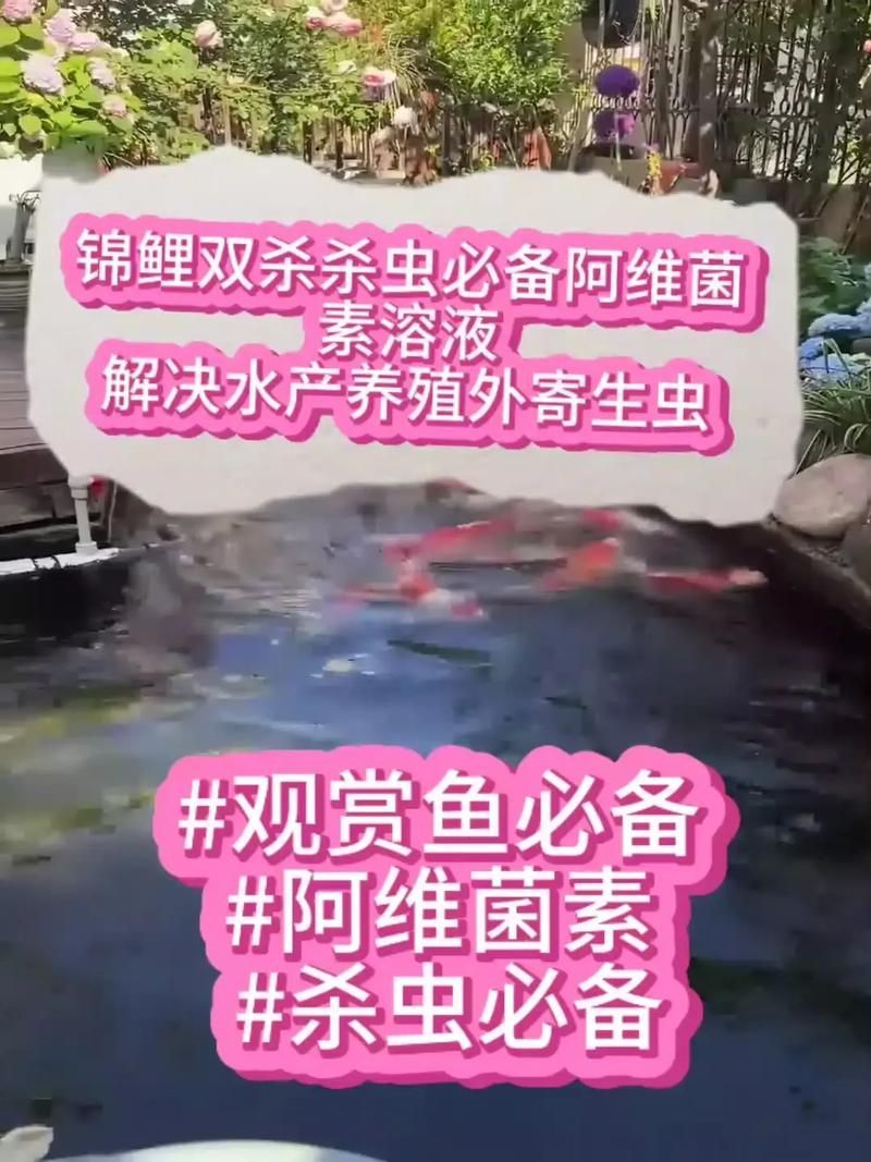哪種魚缸殺蟲藥效果最好，如何選擇合適的魚缸殺蟲藥 哪種魚缸殺蟲藥效果最好，如何選擇合適的魚缸殺蟲藥 龍魚百科 第5張