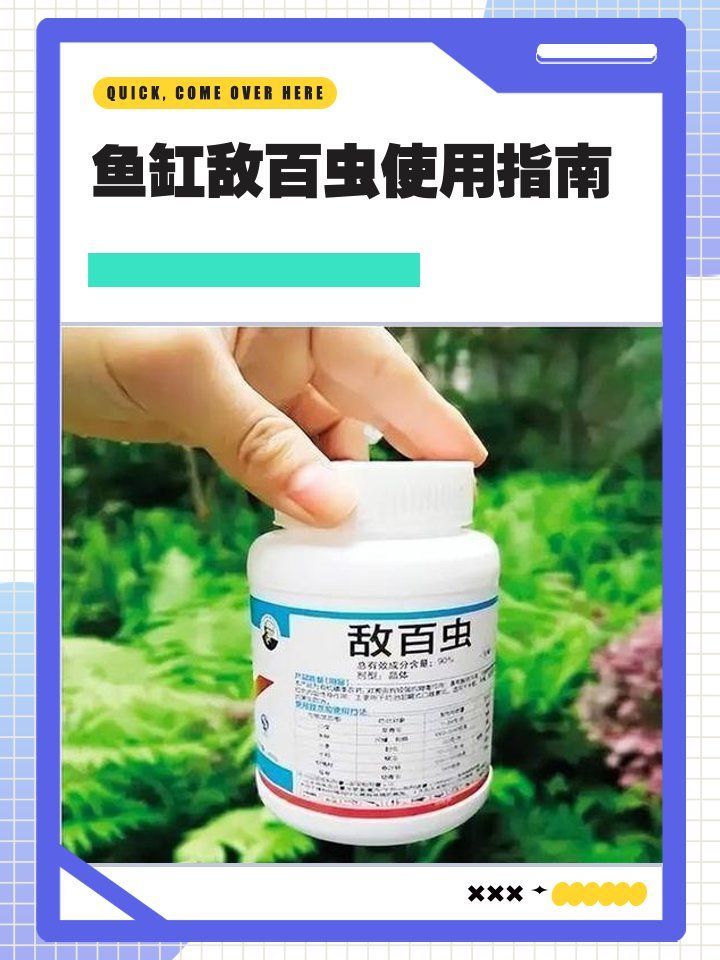 哪種魚缸殺蟲藥效果最好，如何選擇合適的魚缸殺蟲藥 哪種魚缸殺蟲藥效果最好，如何選擇合適的魚缸殺蟲藥 龍魚百科 第19張