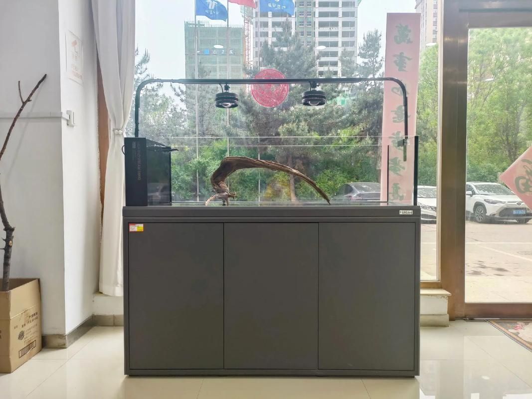 給我推薦幾款適合幼龍魚的魚缸，小型龍魚魚缸選擇適合幼龍魚缸，適合幼龍魚的魚缸推薦 給我推薦幾款適合幼龍魚的魚缸，小型龍魚魚缸選擇適合幼龍魚缸，適合幼龍魚的魚缸推薦 龍魚百科 第4張
