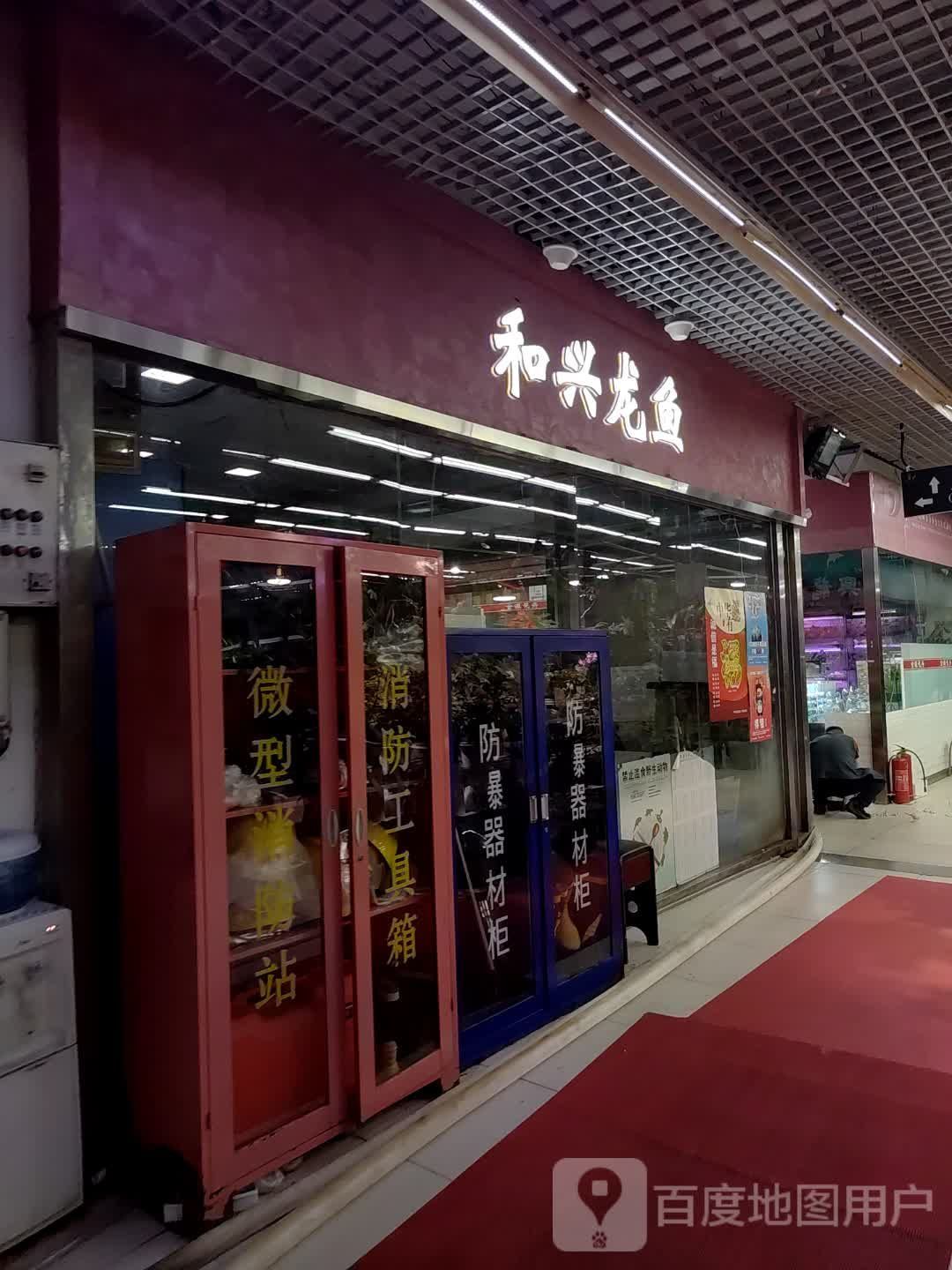 和興龍魚華東旗艦店的地址在哪里，上海和興龍魚華東旗艦店
