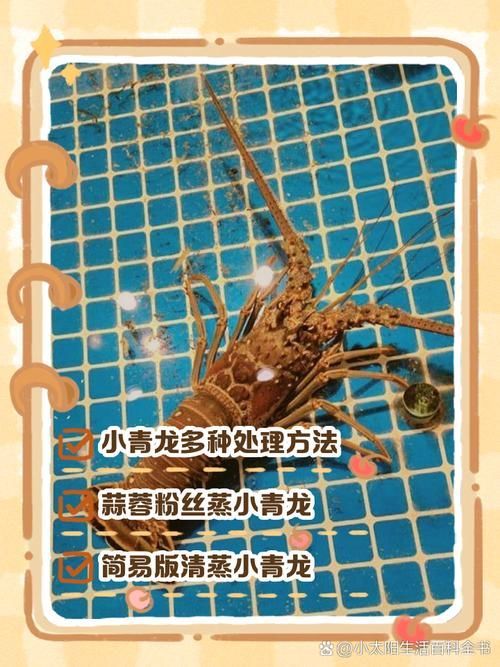 如何安全地處理龍魚干面包蟲？，如何安全地處理龍魚干面包蟲 如何安全地處理龍魚干面包蟲？，如何安全地處理龍魚干面包蟲 龍魚百科 第4張
