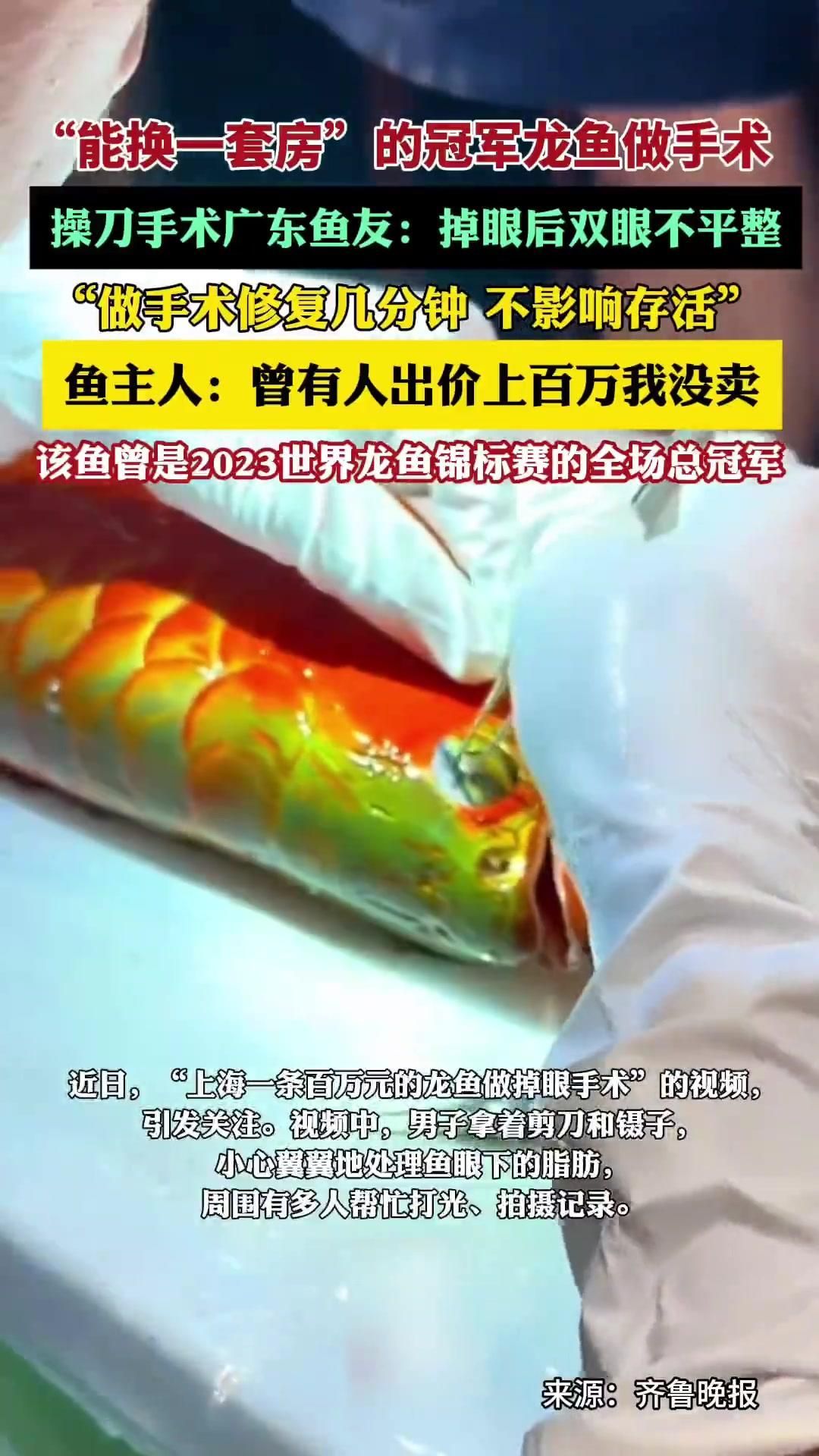 龍魚蒙眼病手術治療風險大嗎？，龍魚蒙眼病是否需要手術