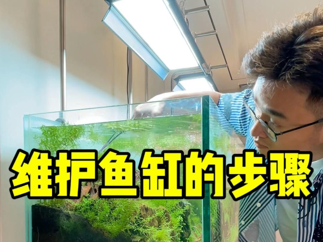 如何處理魚缸后續清潔，——魚缸清潔時間表