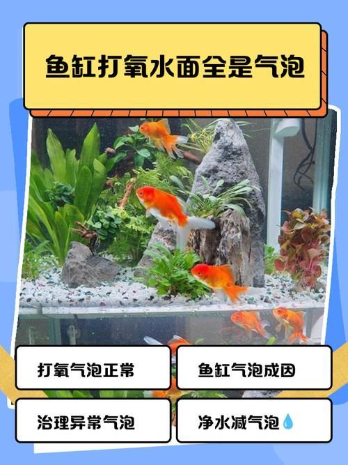 如何預防孔雀魚夜間死亡，孔雀魚夜間死亡的科學成因與系統性預防方案
