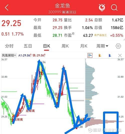請提供一張金龍魚市場價值分析的配圖，金龍魚市場價值分析
