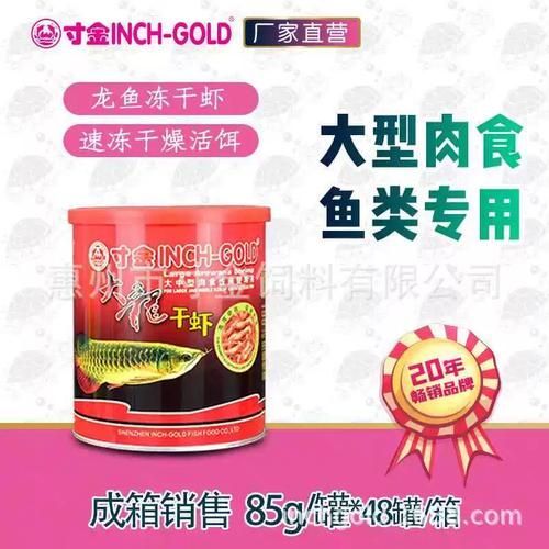 紅龍魚在人工飼養下如何延長壽命？