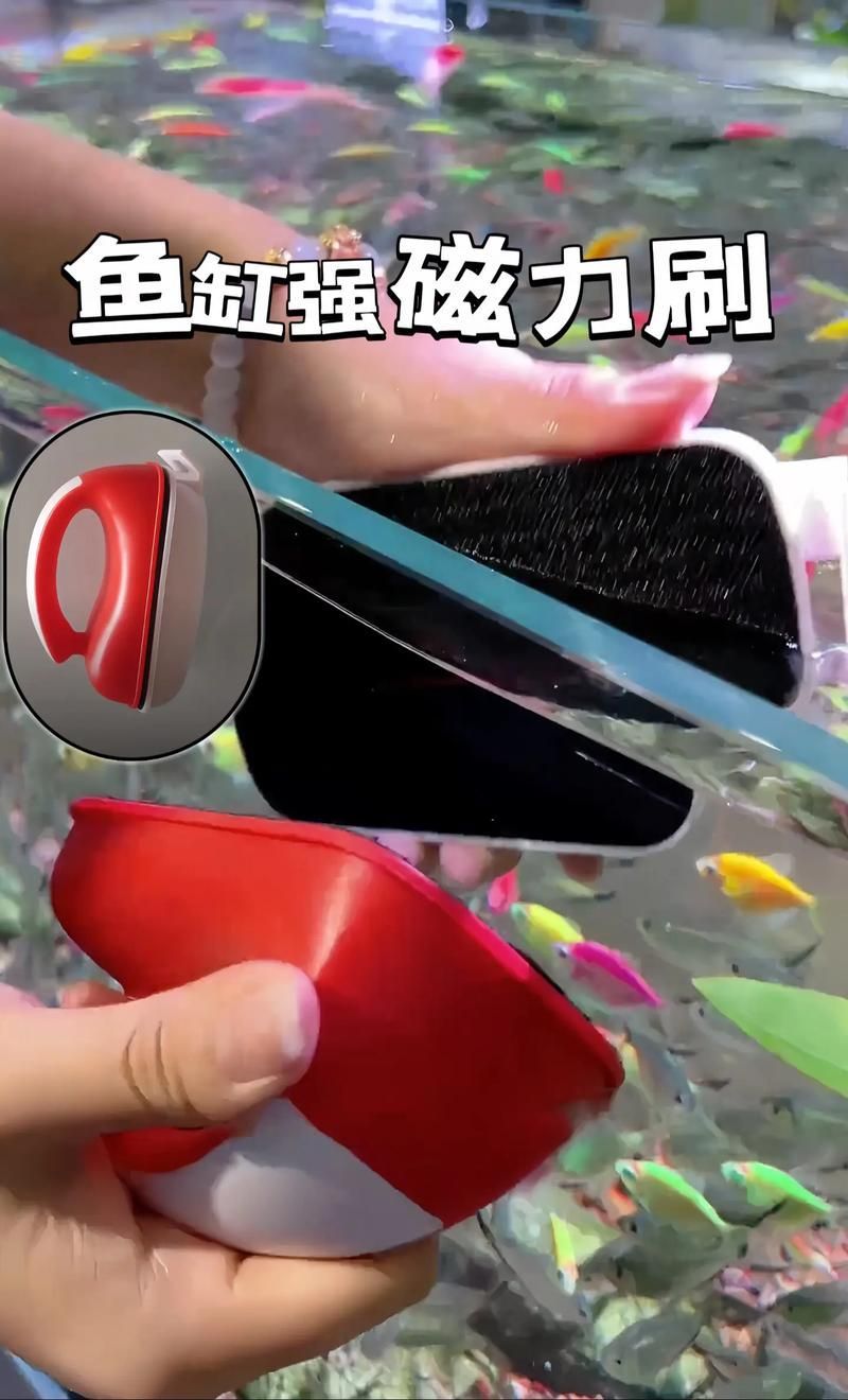 有哪些魚缸維修工具推薦，魚缸維修工具哪個品牌最好魚缸維修工具推薦
