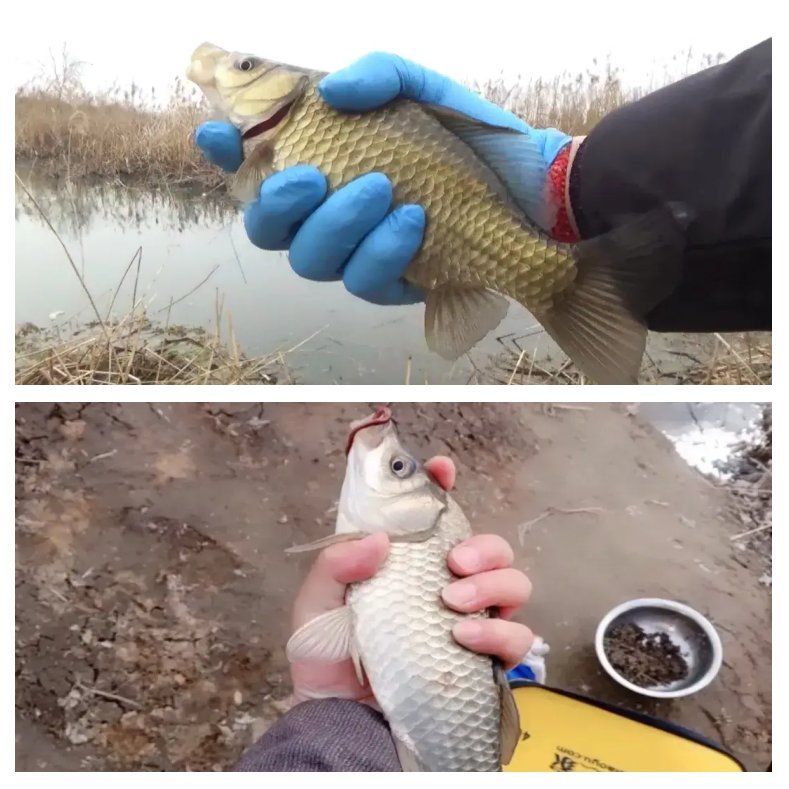 魚沉尾時(shí)最佳提竿時(shí)機(jī)是什么時(shí)候，不同魚種沉漂信號(hào)與提竿時(shí)機(jī)對(duì)照表