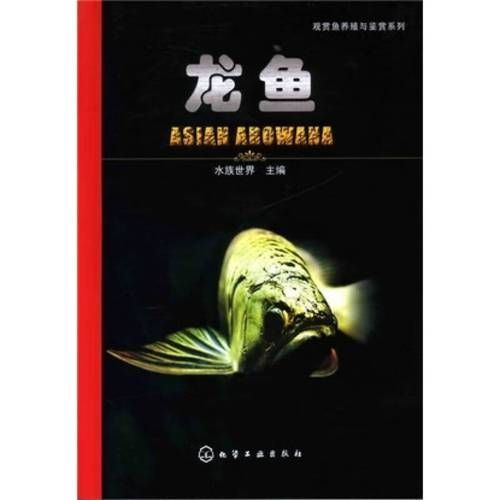 《大道龍魚》的內容簡介是什么，《大道龍魚大道》1000字簡介與官方配圖、劇情場景圖