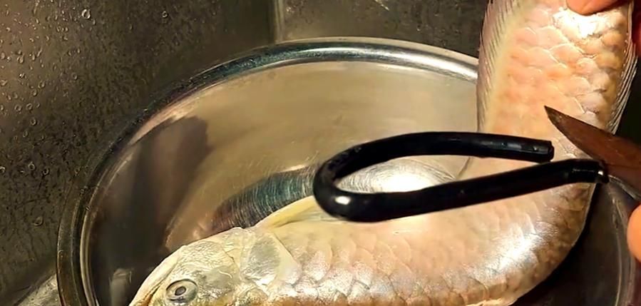 鄭州龍魚事件的后續進展如何？，鄭州龍魚事件后續進展