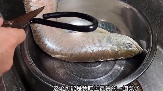 鄭州龍魚事件的后續進展如何？，鄭州龍魚事件后續進展