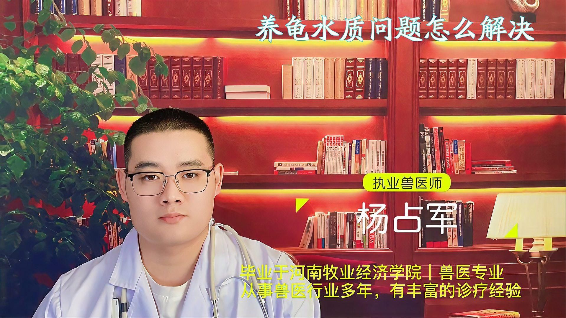 龍龜在魚缸中如何保持清潔，如何保持龍龜水質(zhì)穩(wěn)定