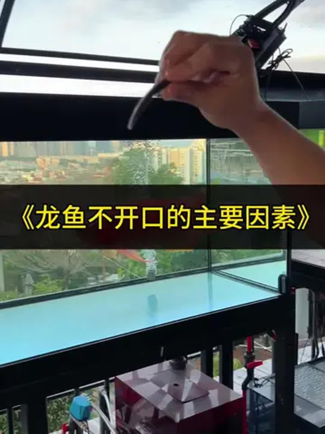 龍魚不張嘴可能是腸炎嗎？，龍魚不張嘴可能是腸炎的原因